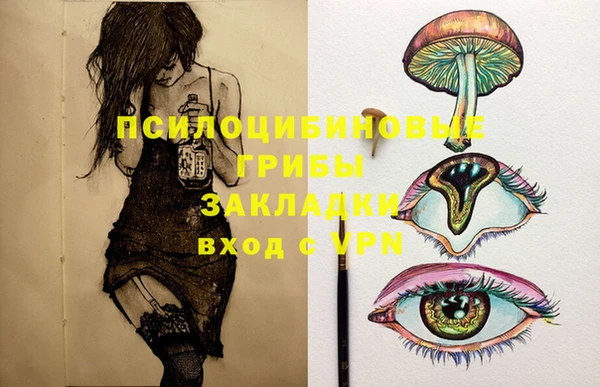apvp Мегион