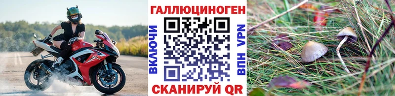 дарк нет формула  Шахты  Галлюциногенные грибы ЛСД 