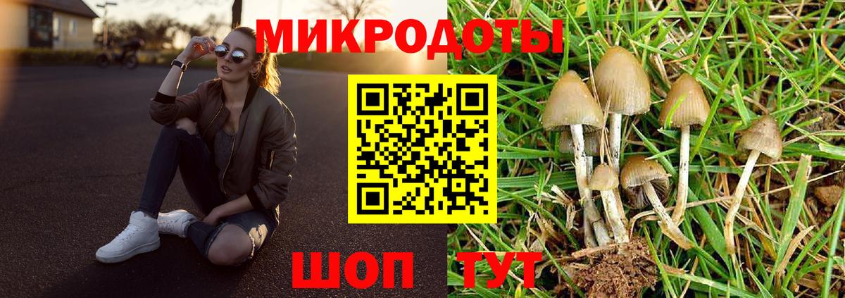 Галлюциногенные грибы Psilocybe  Псилоцибиновые грибы Cubensis  Вход с VPN  Шахты 